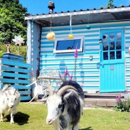 Treguth Glamping Unique Experience - Themed Huts Hotel Saint Day Luaran gambar