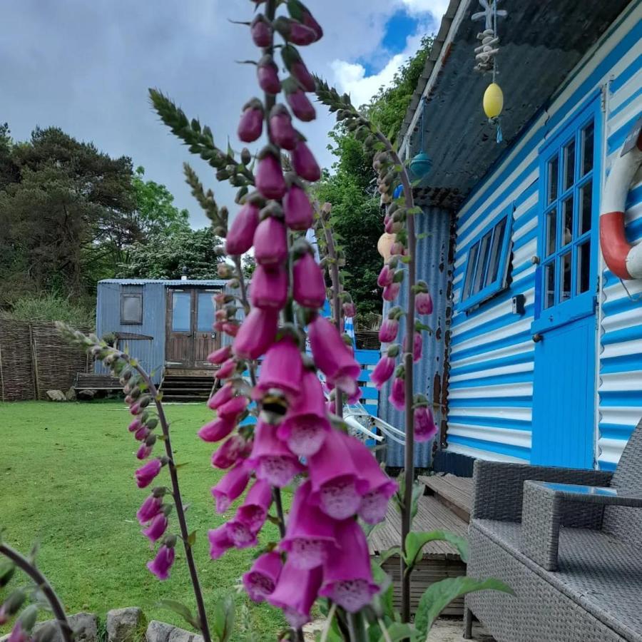 Treguth Glamping Unique Experience - Themed Huts Hotel Saint Day Luaran gambar