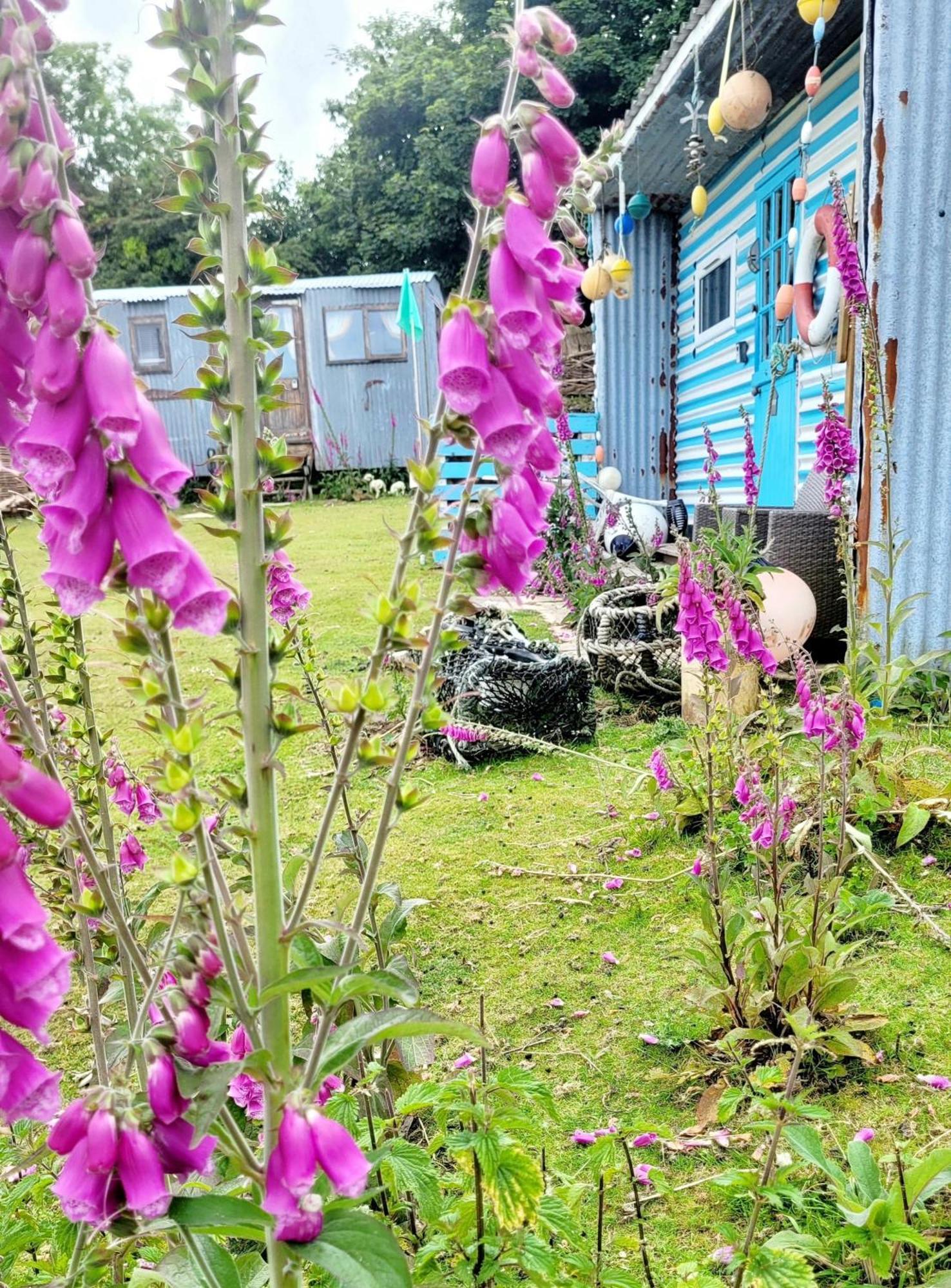 Treguth Glamping Unique Experience - Themed Huts Hotel Saint Day Luaran gambar
