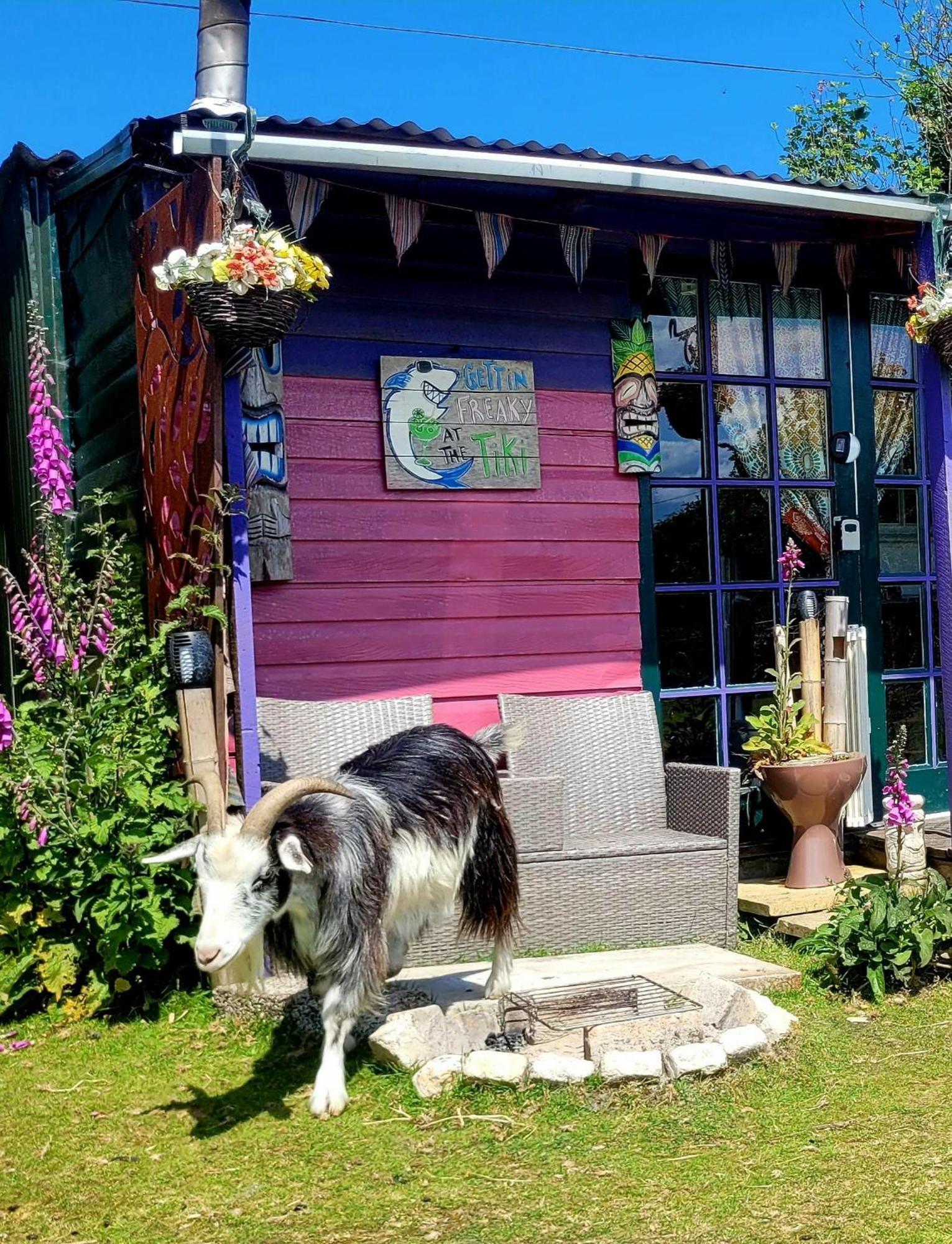 Treguth Glamping Unique Experience - Themed Huts Hotel Saint Day Luaran gambar