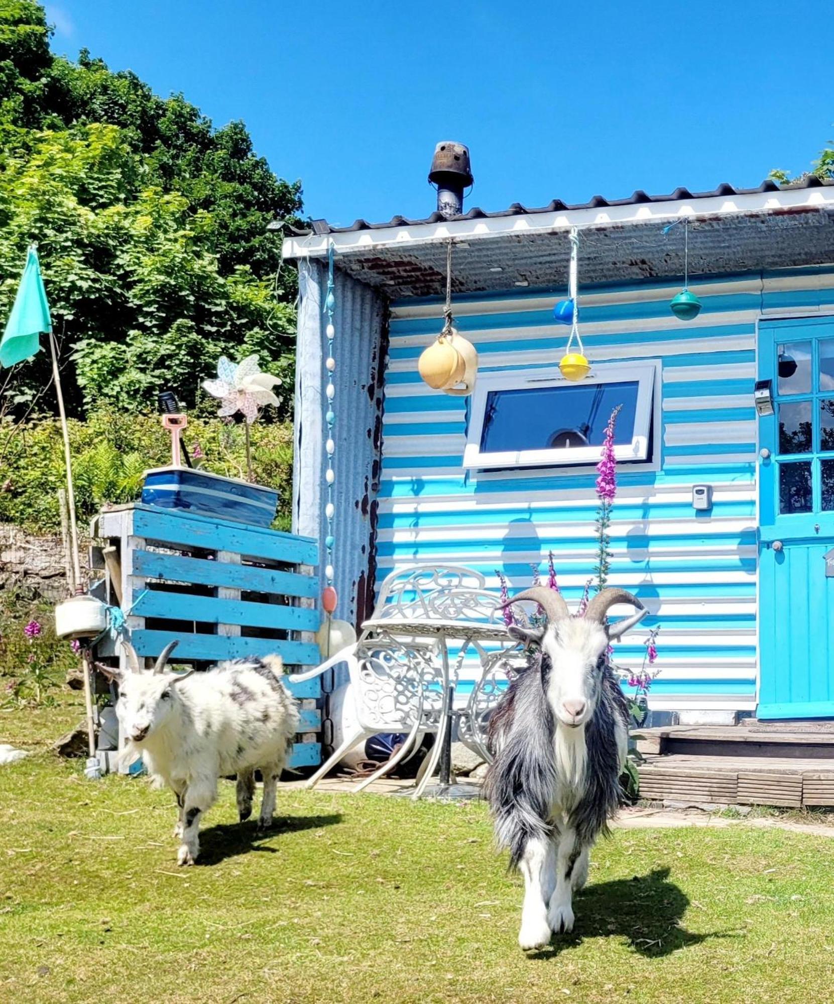 Treguth Glamping Unique Experience - Themed Huts Hotel Saint Day Luaran gambar