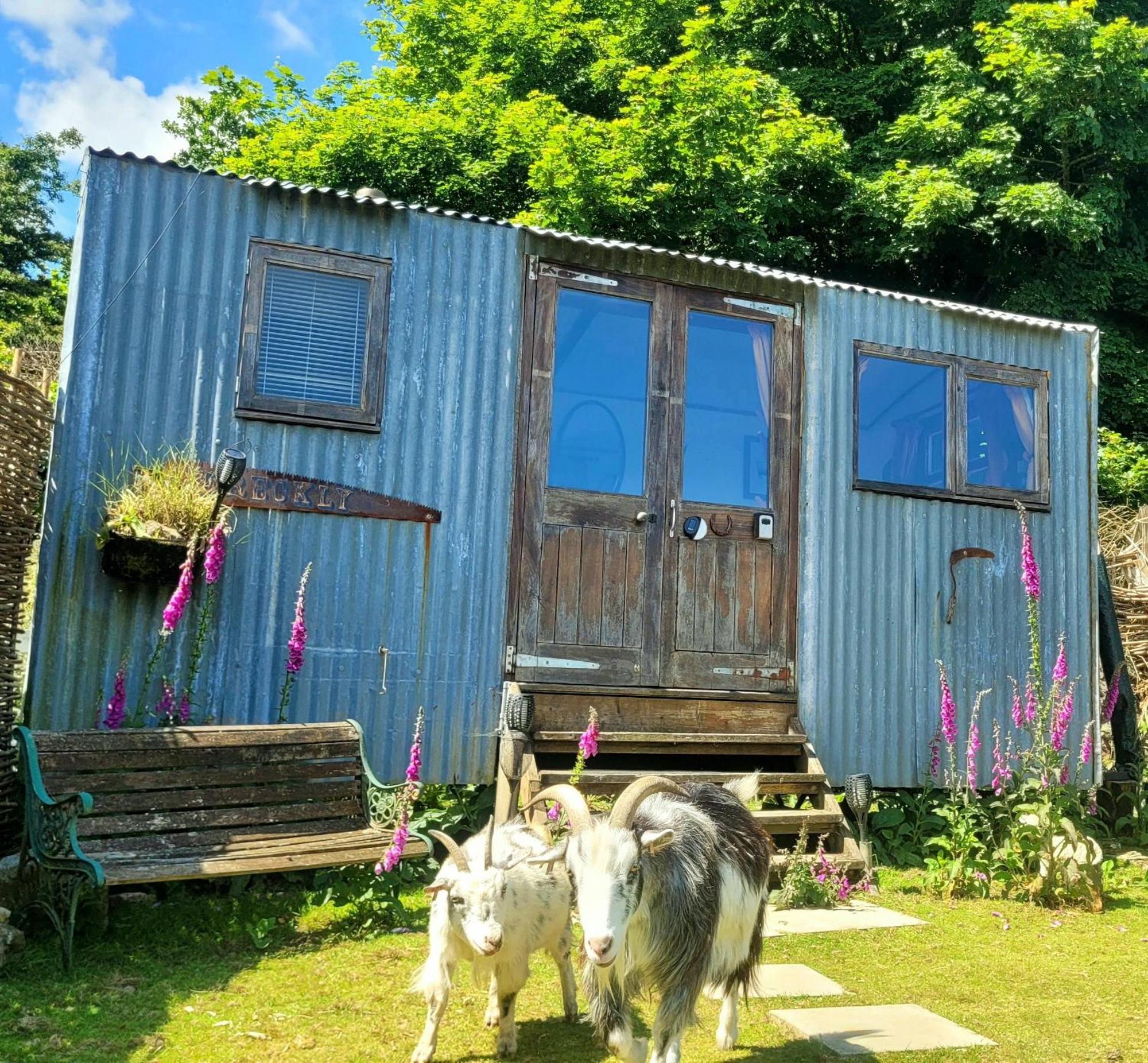Treguth Glamping Unique Experience - Themed Huts Hotel Saint Day Luaran gambar