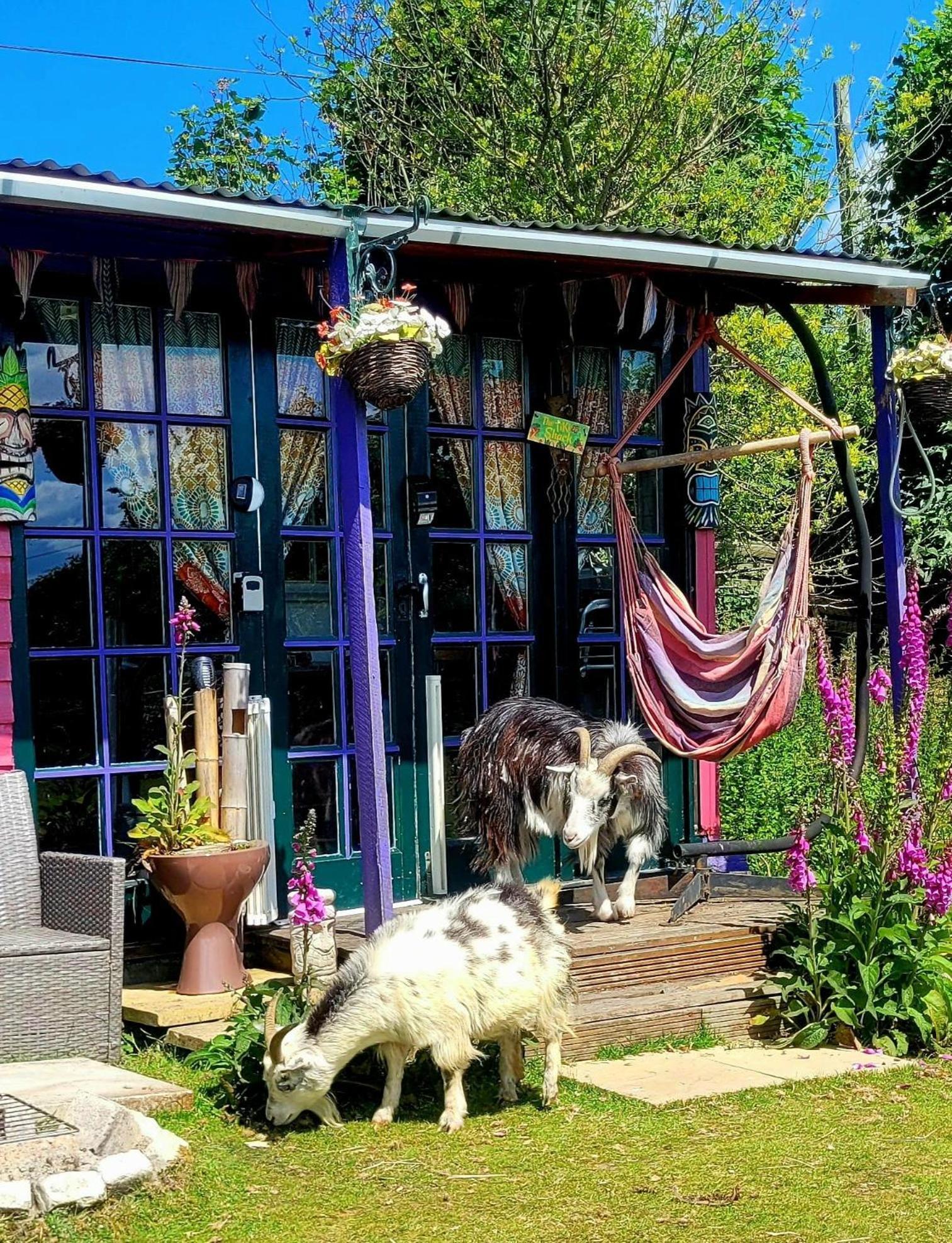Treguth Glamping Unique Experience - Themed Huts Hotel Saint Day Luaran gambar